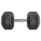 30 kg Hex Dumbbell (Tweedekans)